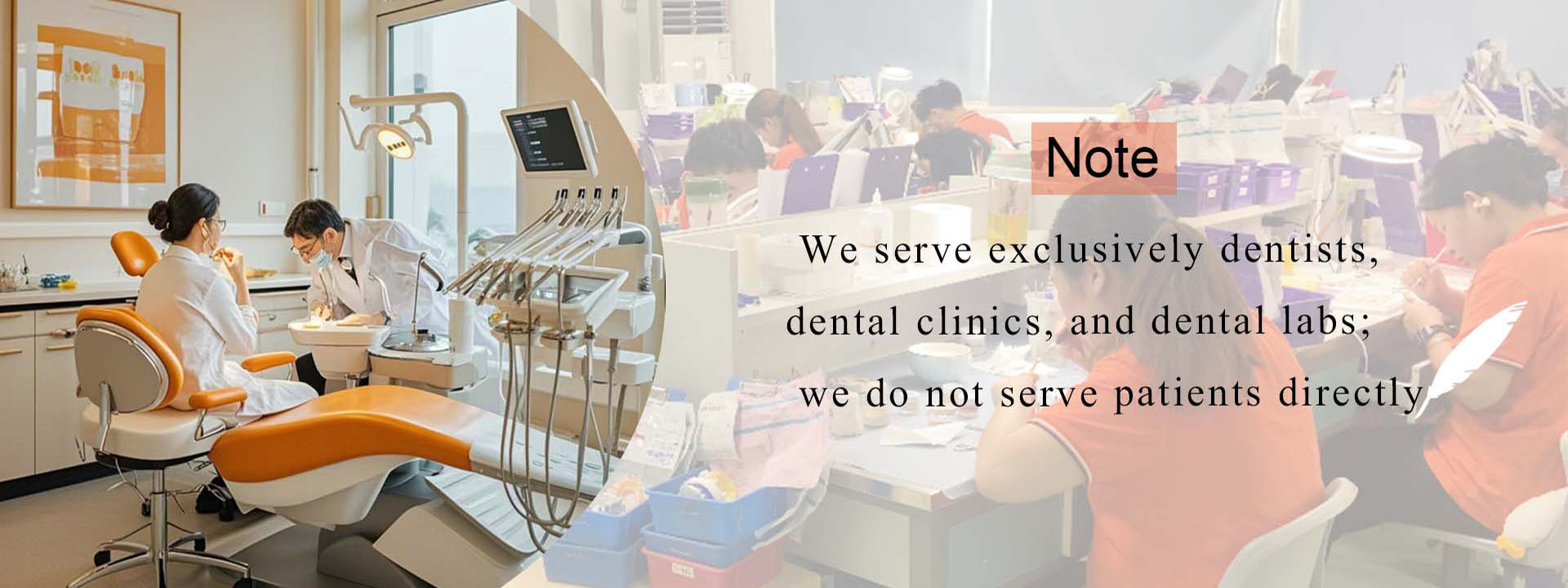 jakość Korona dentystyczna z tlenku cyrkonu fabryka