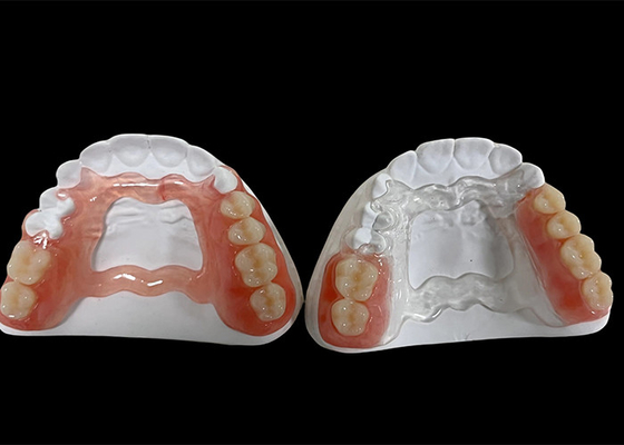 kupować Częściowa zęba zdejmowana, zębowa proteza do żucia i mówienia. online manufacture